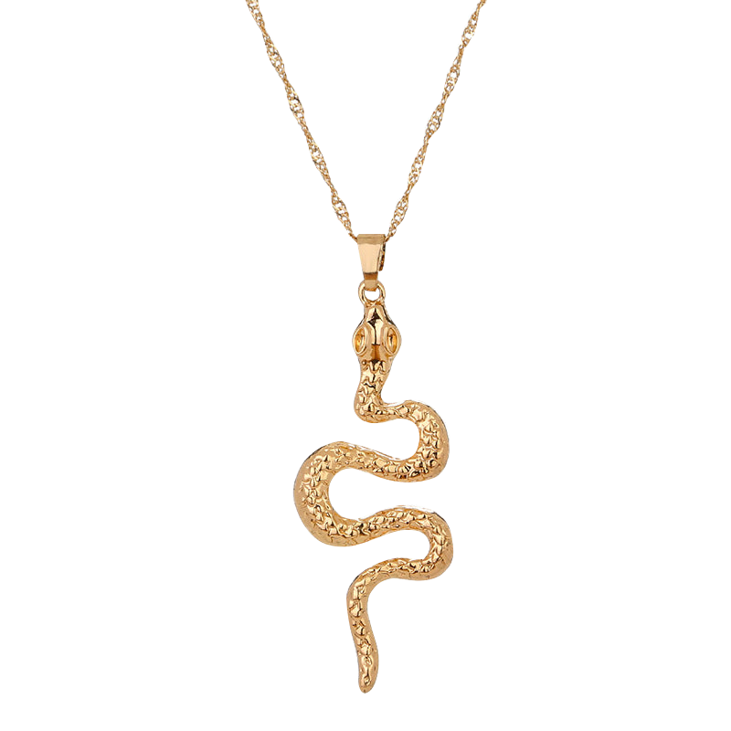 necklace with snake pendant