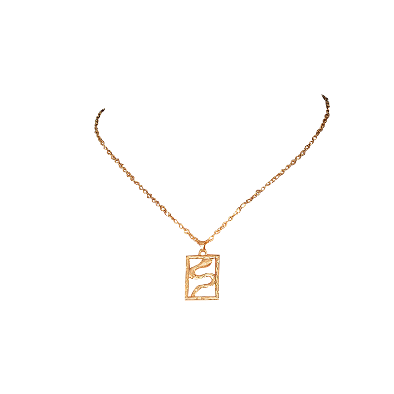 square framed snake pendant necklace